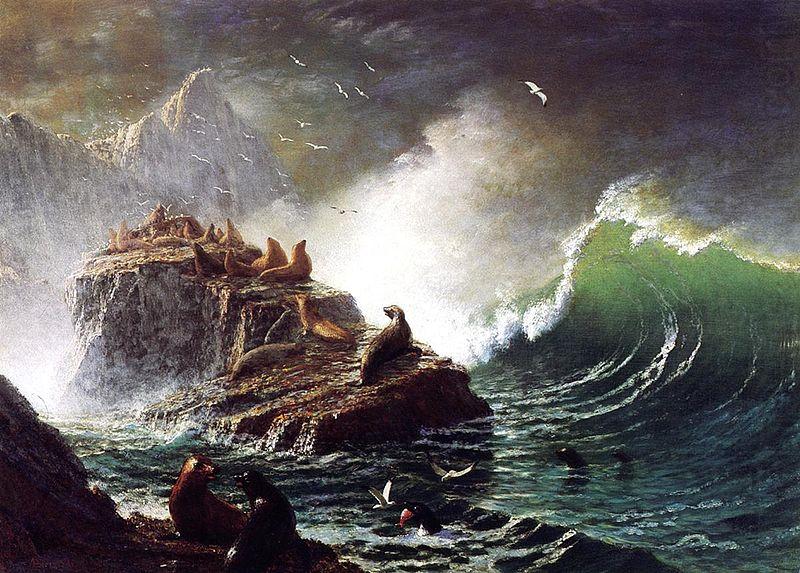 Albert Bierstadt Seals on the Rocks, Farallon Islands china oil painting image